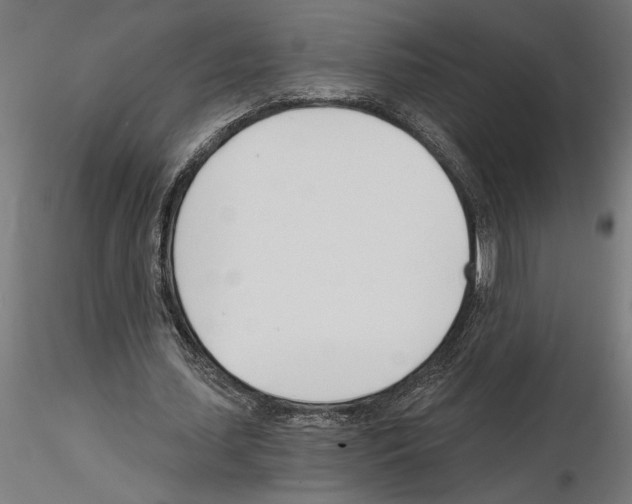 X0000115240627200912111055