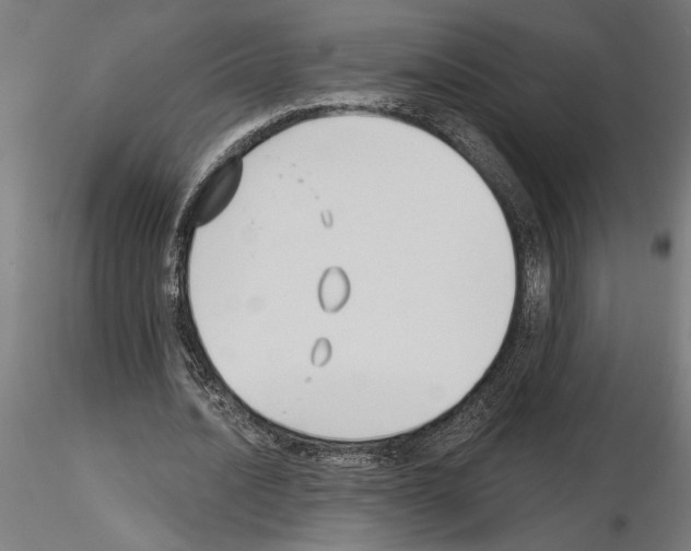 X0000115240628200912111055