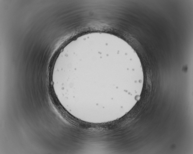 X0000115240630200912111055