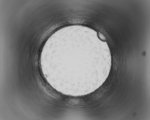 X0000115240631200912111055