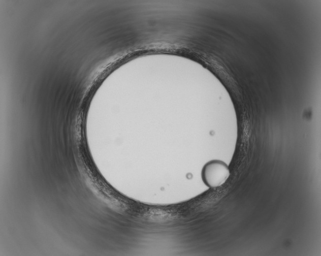 X0000115240632200912111055