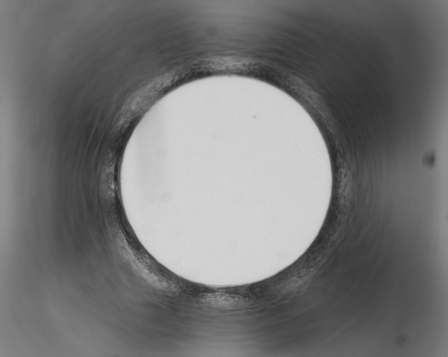 X0000115240633200912111055