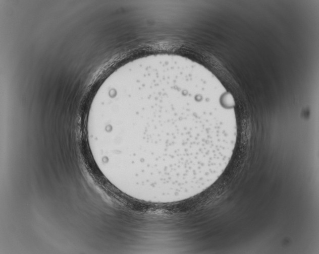 X0000115240634200912111055