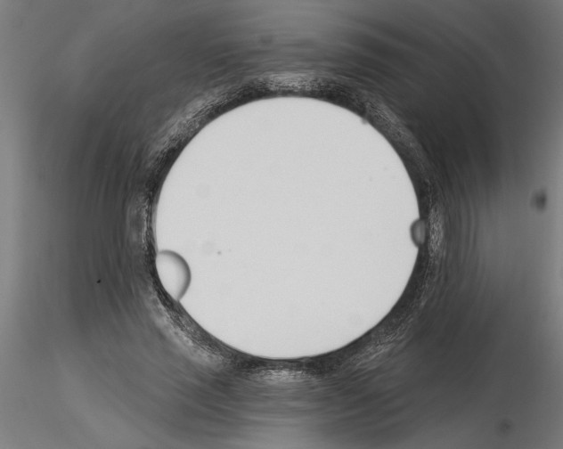 X0000115240637200912111055