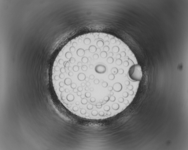 X0000115240638200912111055