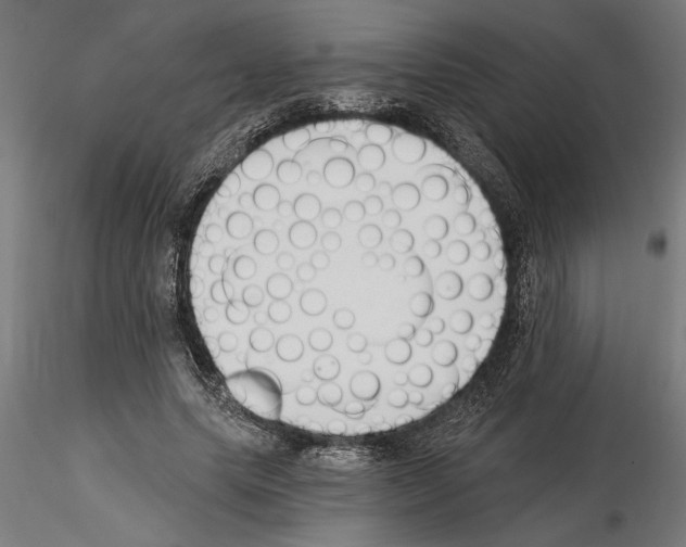 X0000115240639200912111055