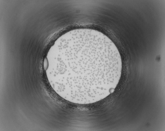 X0000115240640200912111055