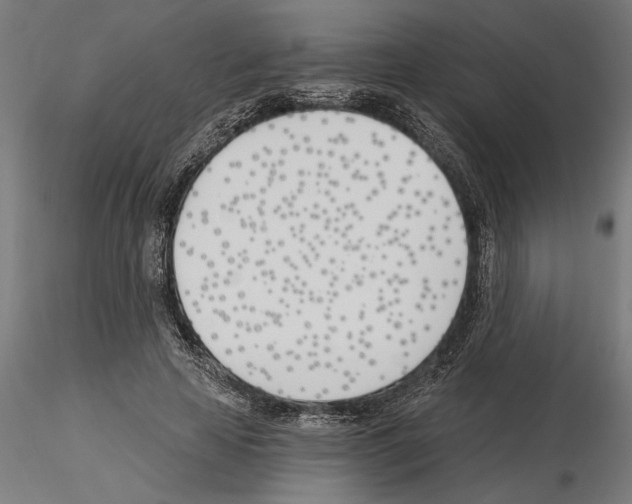 X0000115240641200912111055