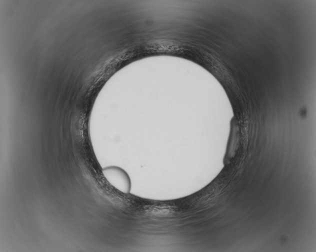 X0000115240643200912111055