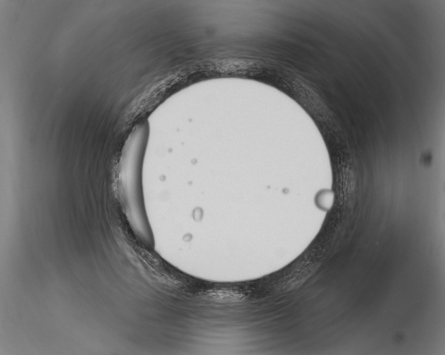 X0000115240644200912111055