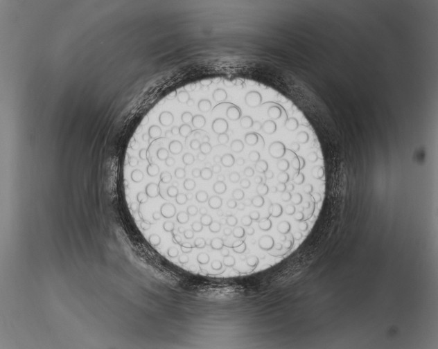 X0000115240646200912111055