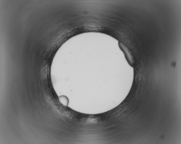 X0000115240647200912111055