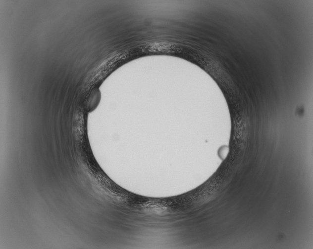 X0000115240648200912111055