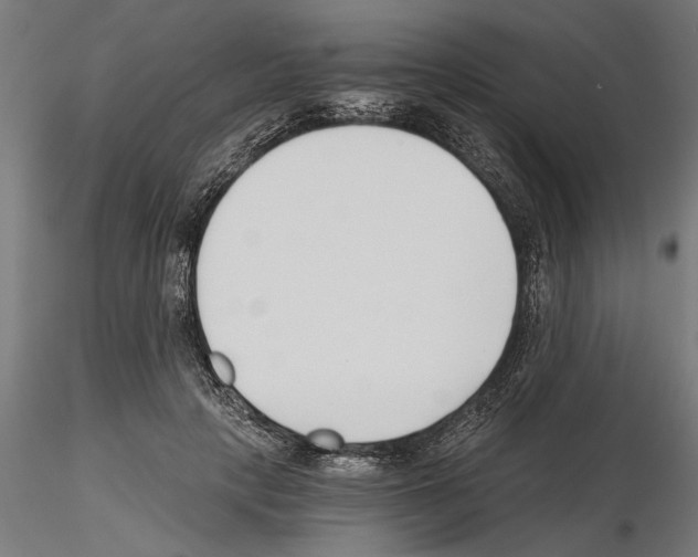 X0000115240649200912111055