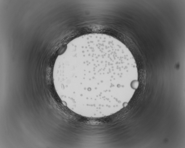 X0000115240650200912111055