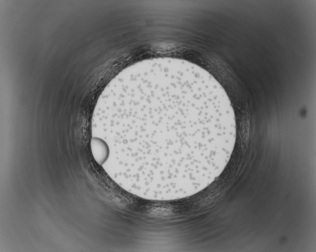 X0000115240653200912111055