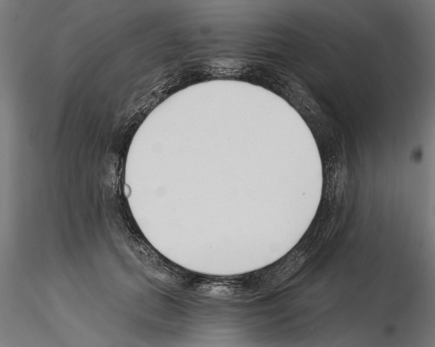 X0000115240655200912111055