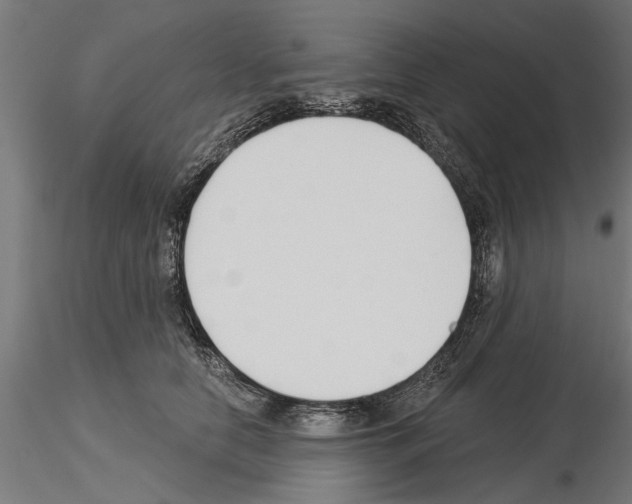 X0000115240658200912111055