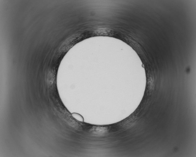 X0000115240665200912111056