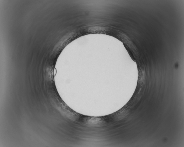 X0000115240669200912111056