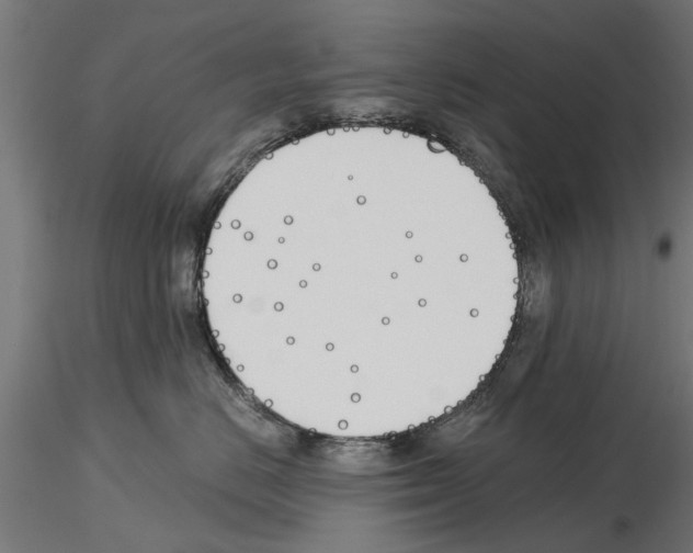 X0000115240670200912111056