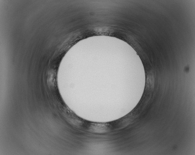 X0000115240671200912111056