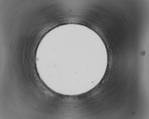 X0000115240673200912111055