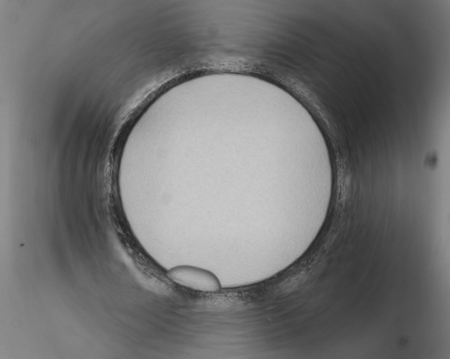 X0000115240674200912111055