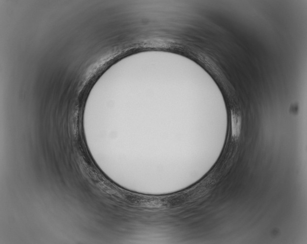 X0000115240675200912111055