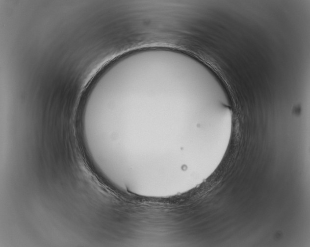 X0000115240676200912111055