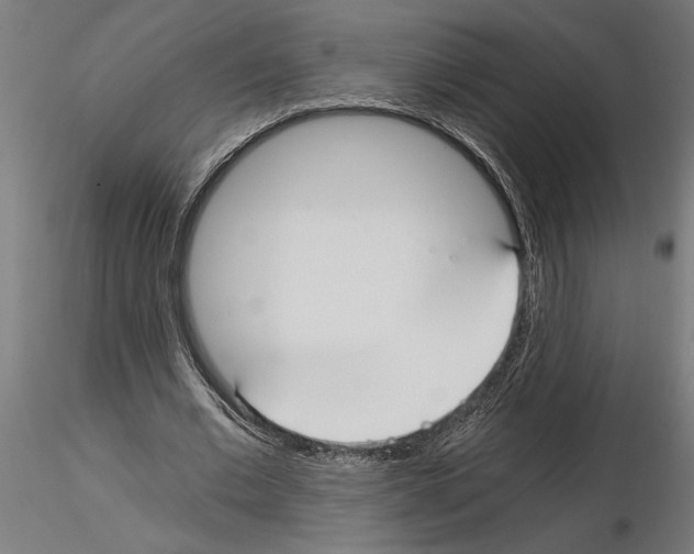 X0000115240677200912111055