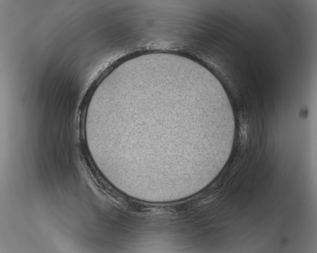 X0000115240678200912111055