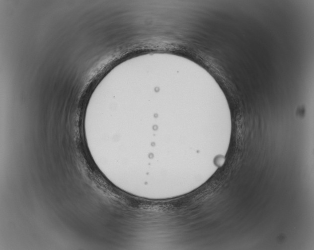 X0000115240679200912111055