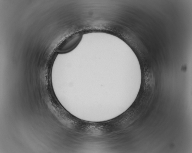 X0000115240680200912111055