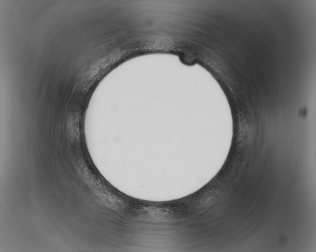 X0000115240681200912111055