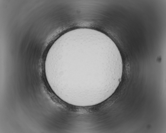 X0000115240682200912111055