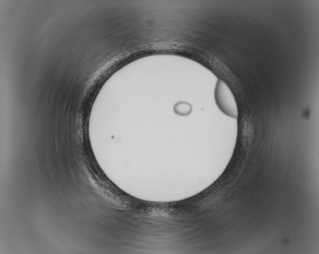 X0000115240684200912111055