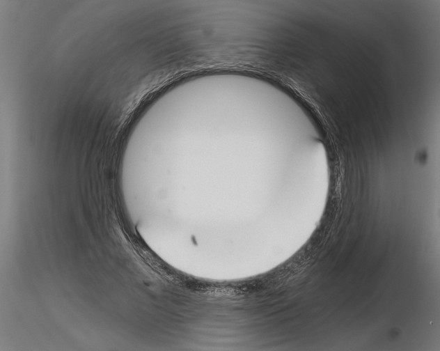 X0000115240685200912111055