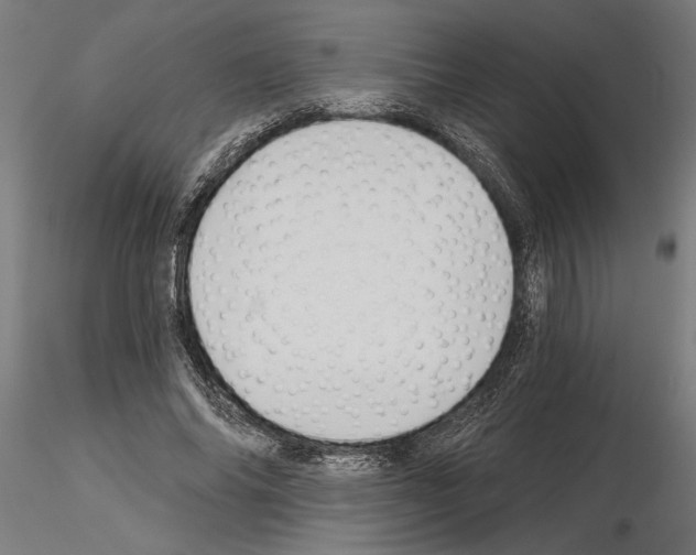 X0000115240686200912111055