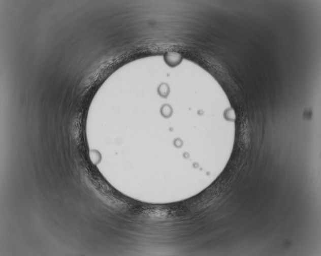 X0000115240687200912111055