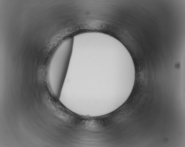 X0000115240688200912111055