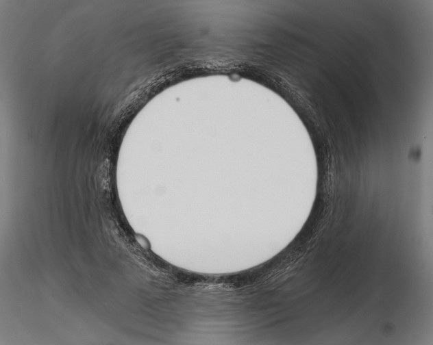 X0000115240689200912111055