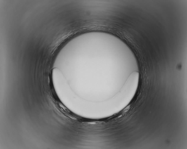 X0000115240692200912111055