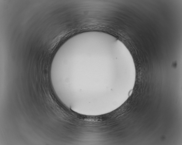 X0000115240693200912111055