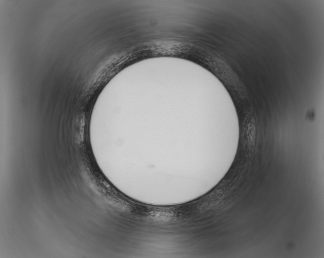 X0000115240694200912111055