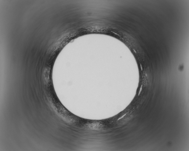 X0000115240695200912111055