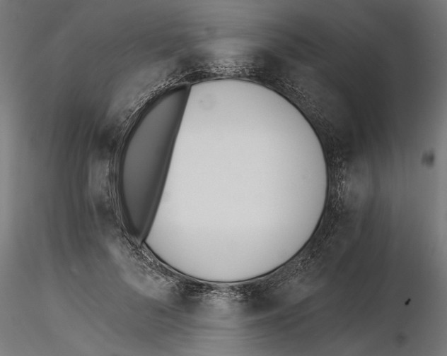 X0000115240696200912111055