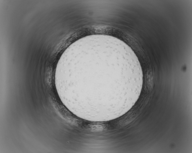 X0000115240698200912111054