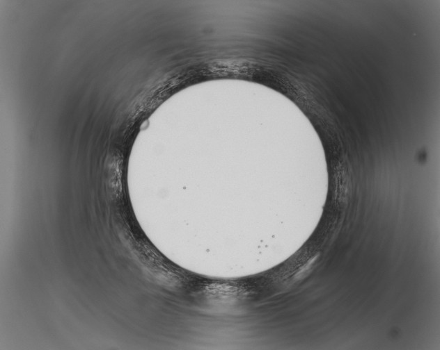 X0000115240699200912111054