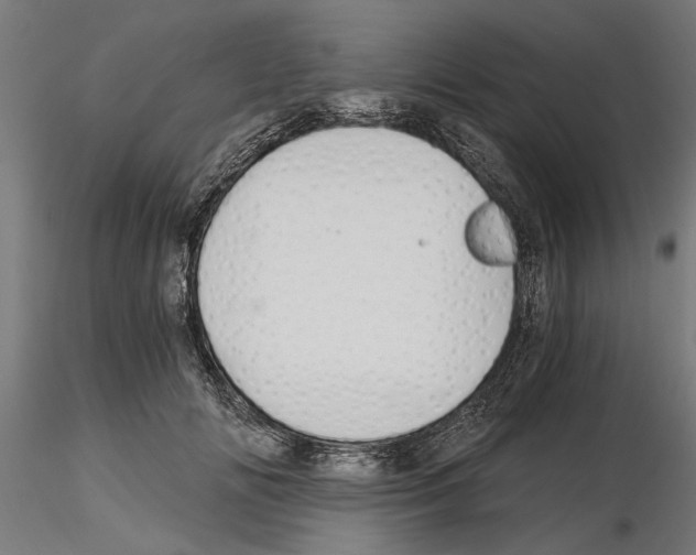 X0000115240702200912111054